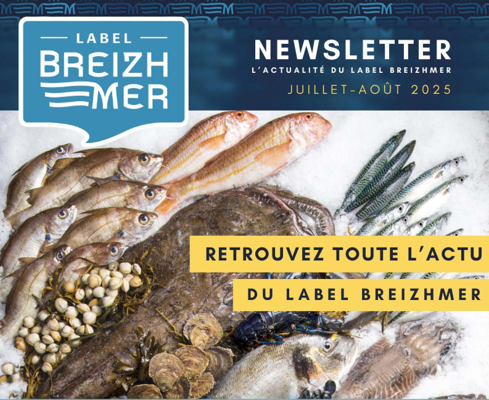 Newsletter juillet août